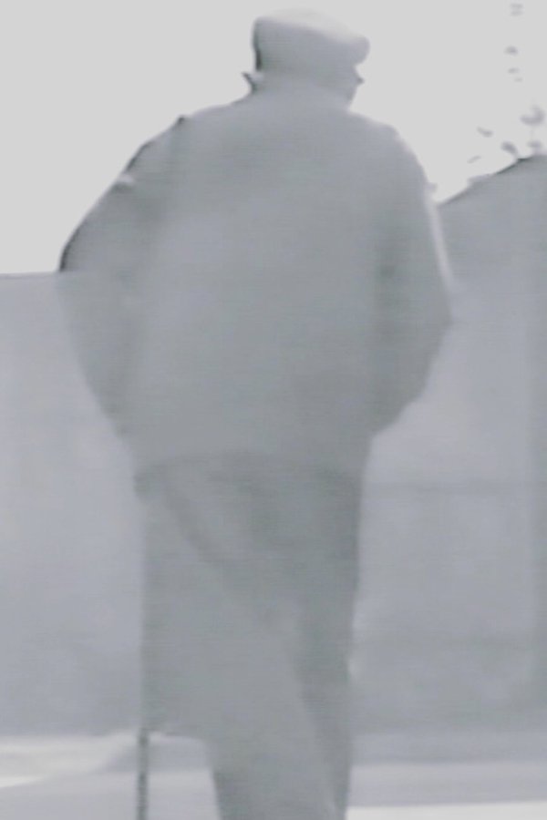 L’Infini Des Métamorphoses