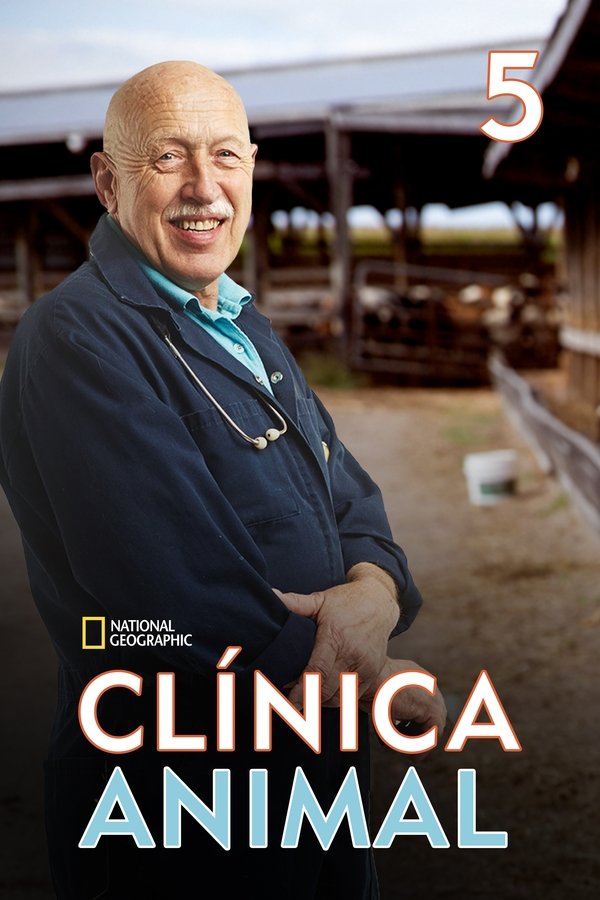 Temporada 5