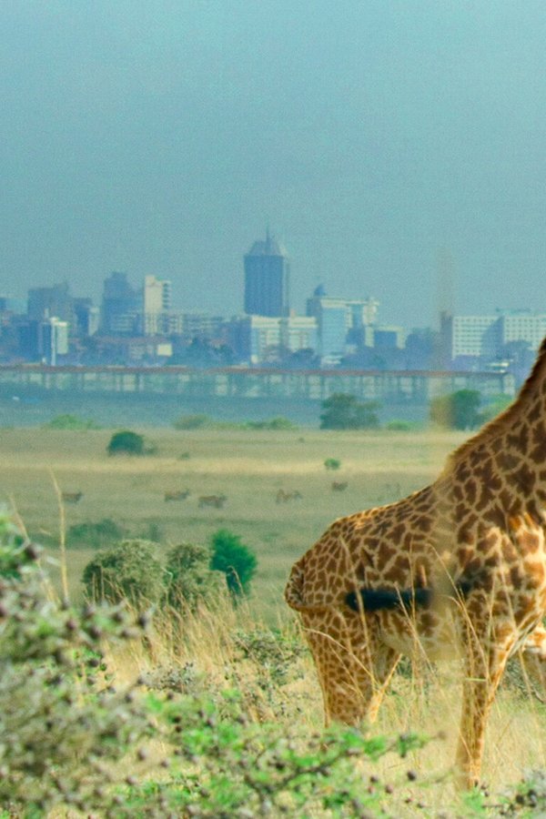 Notre planète a ses limites : L'alerte de la science (2021) backdrop image