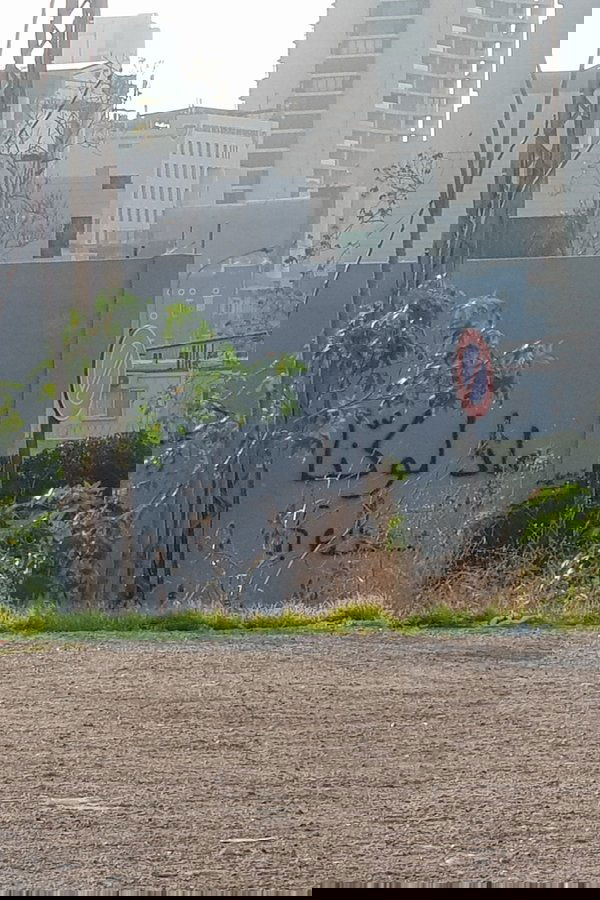 What if we were happy?