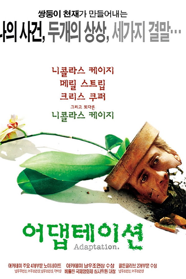 어댑테이션