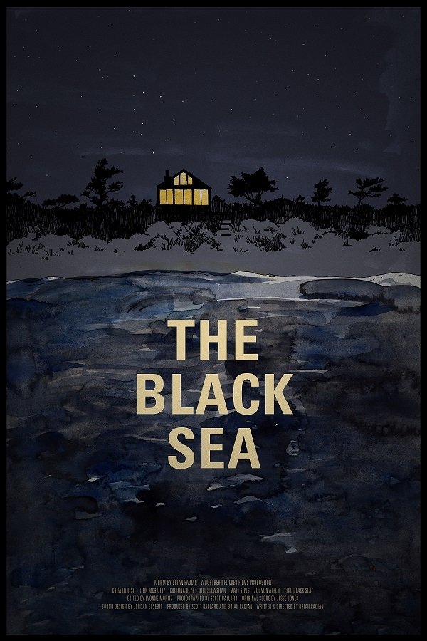 Five friends go to a beach house on the Oregon coast for the weekend. Allison is clearly troubled by something but the others don't say a word or intervene. And then she vanishes.