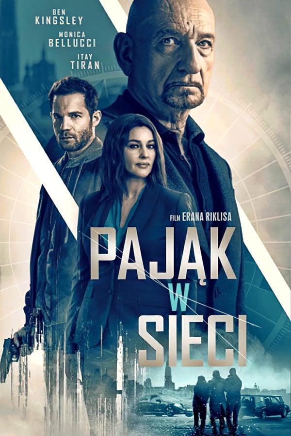 Pająk w sieci