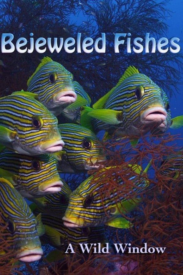 Bejeweled Fishes capture la beauté spectaculaire de la myriade de poissons qui peuplent les récifs coralliens du Pacifique tropical et oriental. Cette fenêtre sauvage a été capturée aux îles Maldives, aux Fidji, aux Philippines, au Mexique, en Californie et en Indonésie, et présente 60 minutes de cinématographie sous-marine par le cinéaste six fois primé aux Emmy Awards, Howard Hall. Bejeweled Fishes est accompagné d'une partition musicale originale du compositeur maintes fois primé Alan Williams.