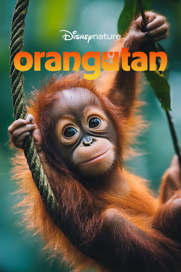 NL - Orangutan (2026)