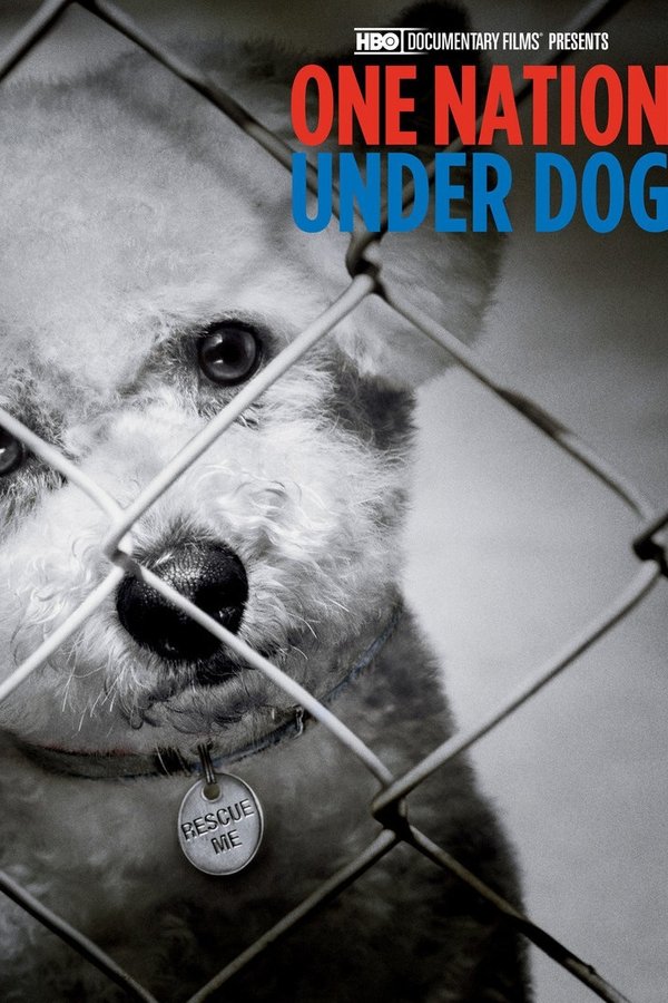 One Nation Under Dog:  Stories of Fear, Loss and Betrayal