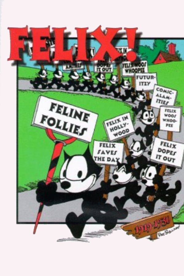 Feline Follies