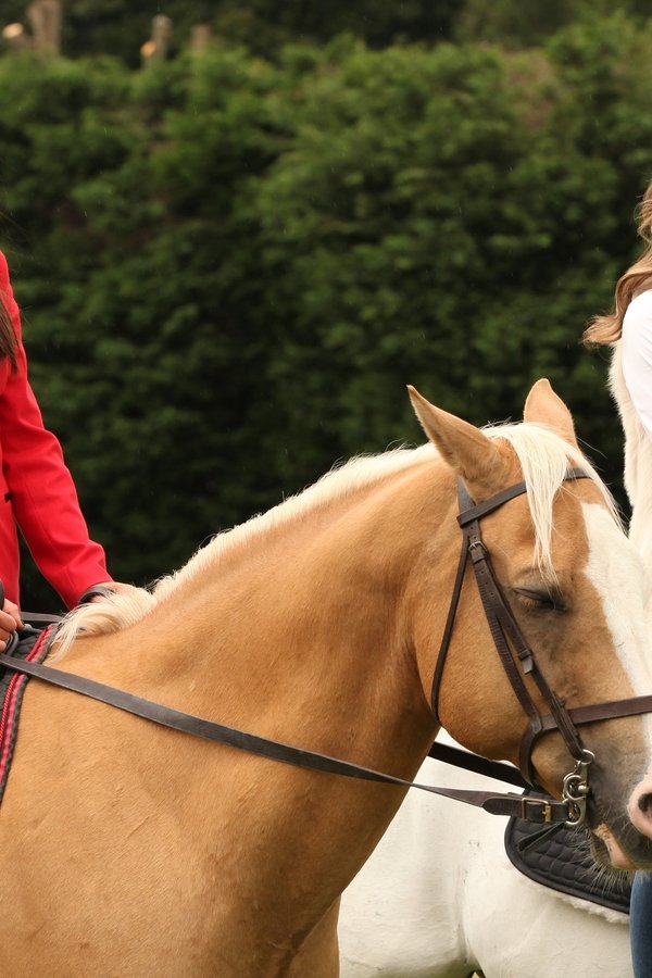 The Royals – S02E07 – Episodio 7