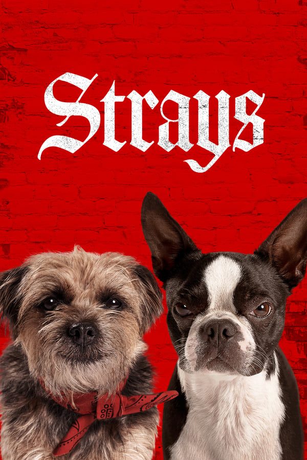 Những Chú Chó Bụi Đời – Strays (2023)