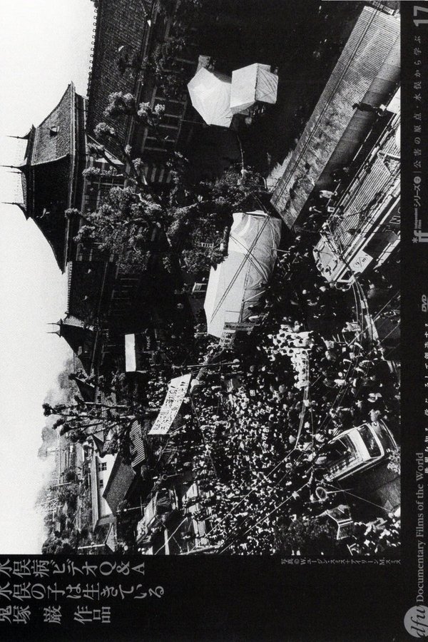 Minamata Disease Video Q&A