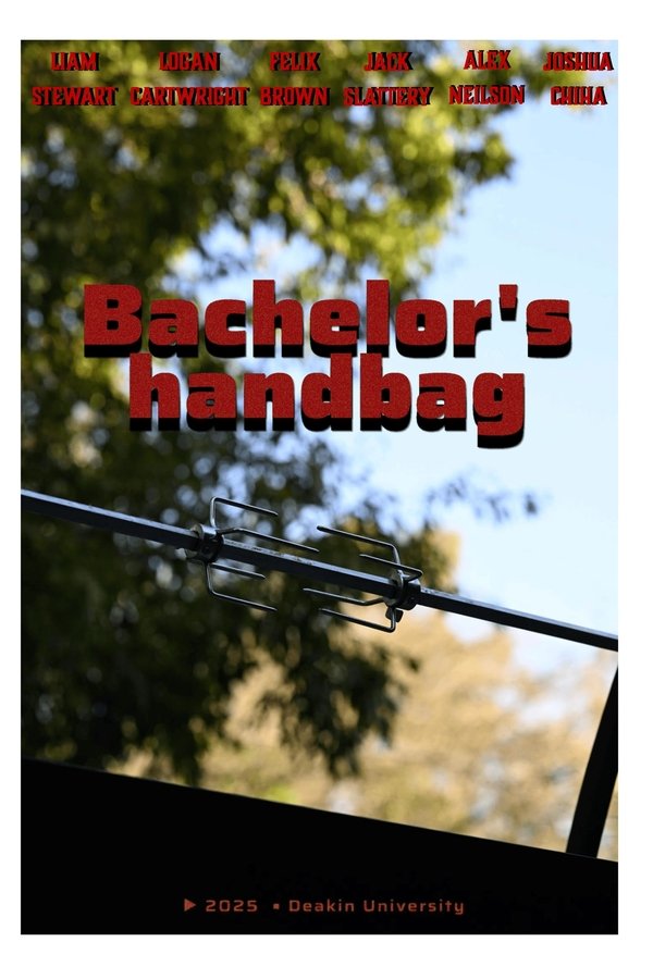 Bachelors Handbag poster
