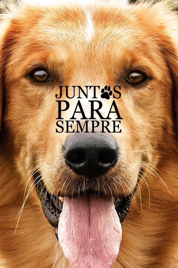 Quatro Vidas de um Cachorro (2017)