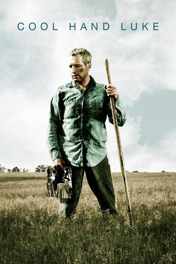 228-Cool Hand Luke ( 1967 )