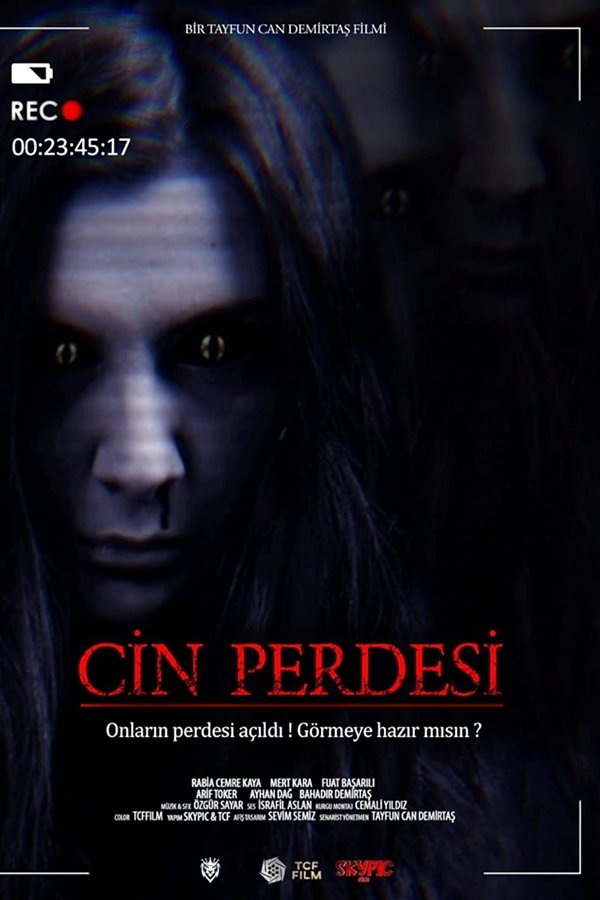 Cin Perdesi