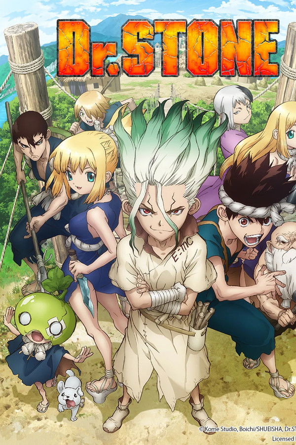 Dr. Stone
