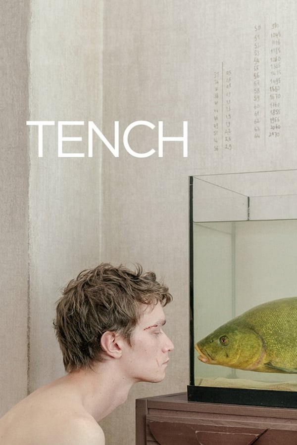 PL - Tench  (2020)