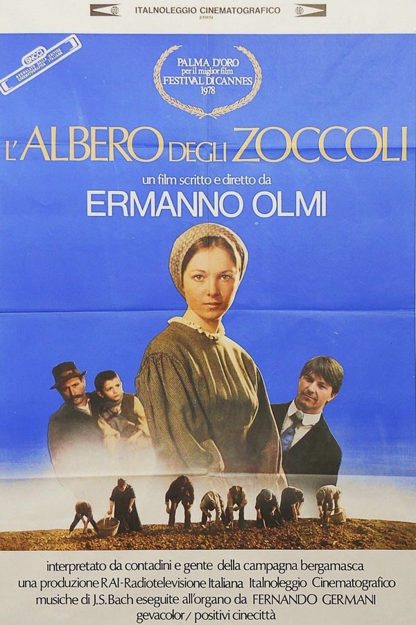 L’albero degli zoccoli