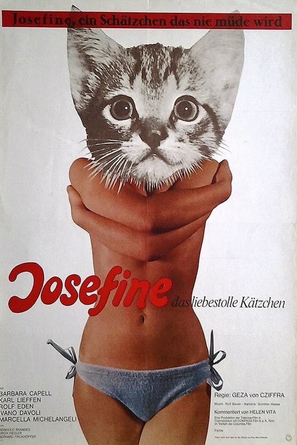 Josefine – das liebestolle Kätzchen