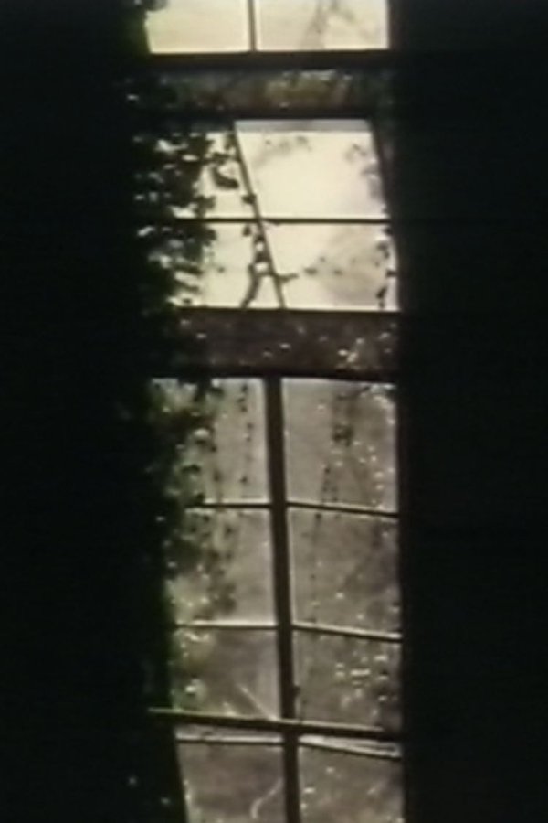 See Through The Shadow Of Darkness