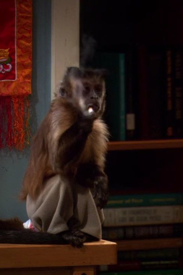 The Big Bang Theory – S04E21 – La dissezione dell’accordo