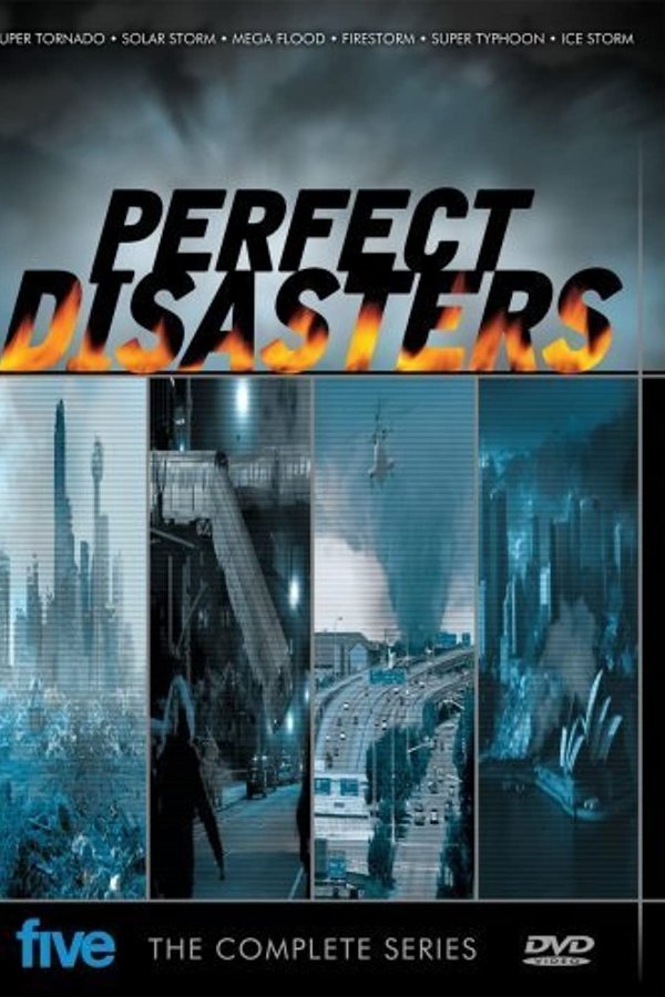 Perfect Disaster