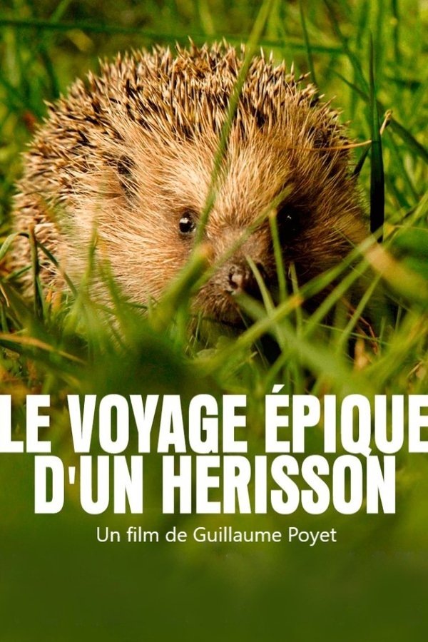 Le voyage épique d'un hérisson poster