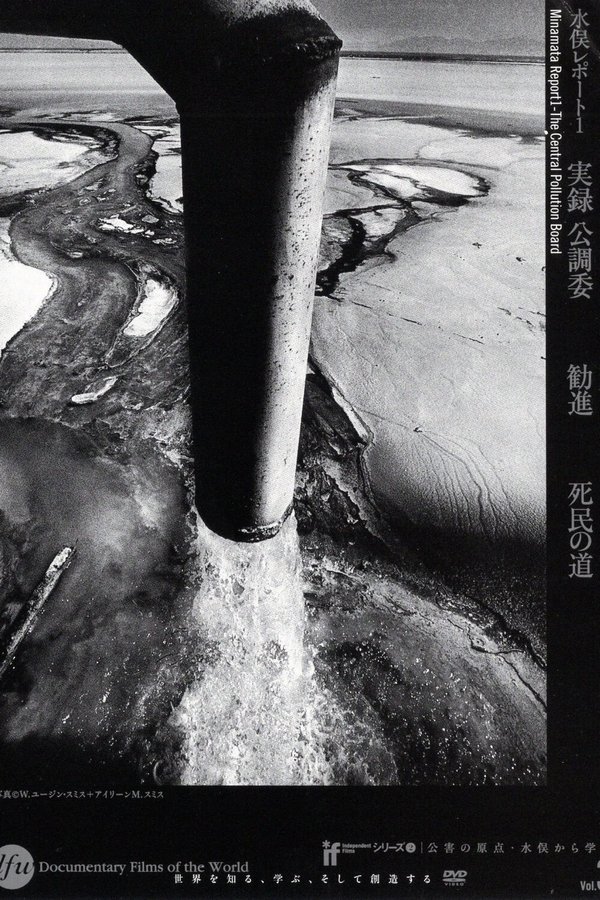 Minamata Report 1 – The Central Pollution Board