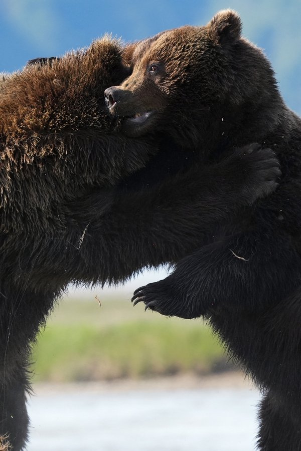 Big Beasts – S01E06 – Episodio 6