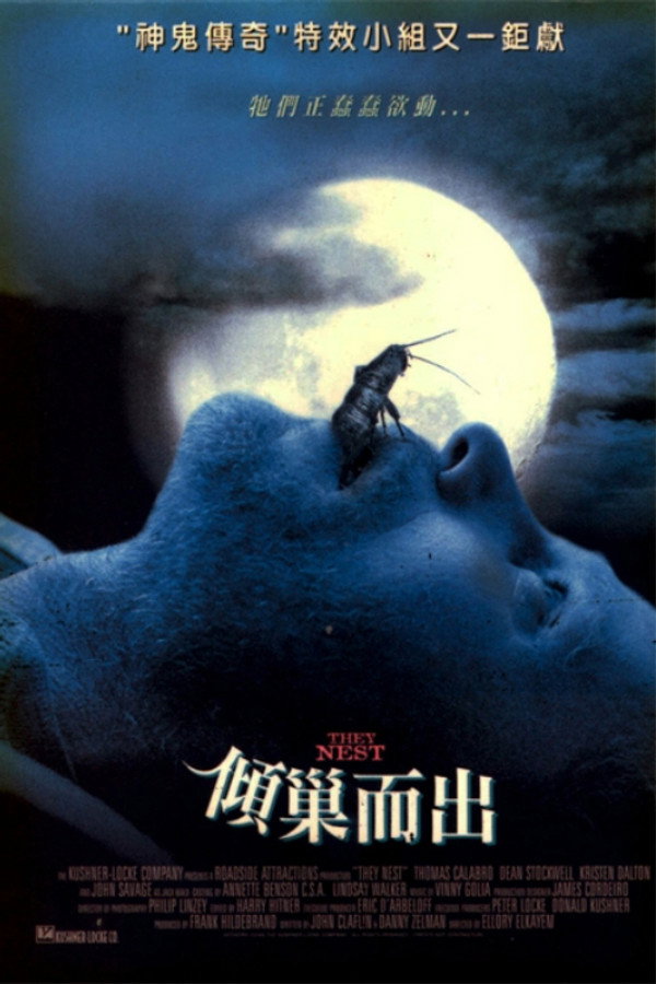 嗜血蟑螂