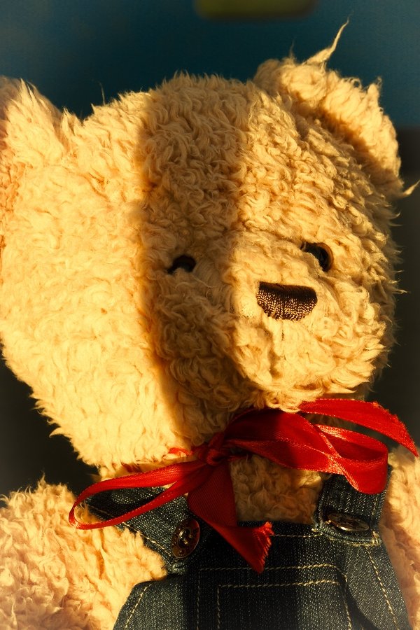 Farty Barty's headshot