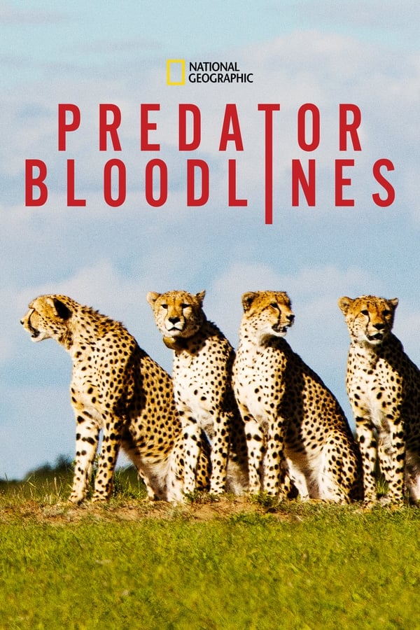 D + - Predator Bloodlines