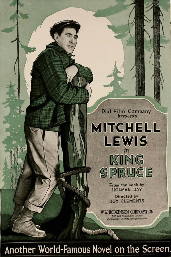 King Spruce