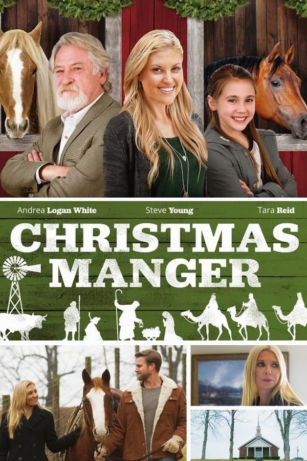 Christmas Manger (2018)