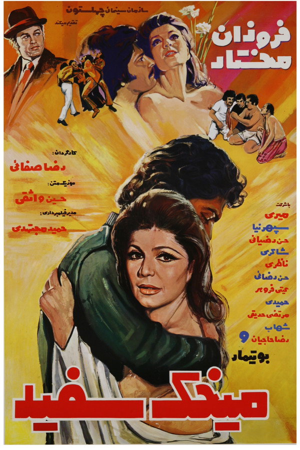 میخک سفید