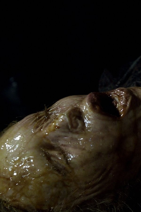 Fringe – S04E17 – Ogni cosa al suo posto