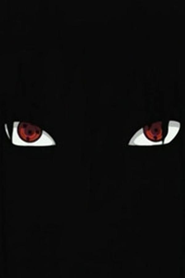 Naruto Shippuden – S02E49 – Incontri importanti