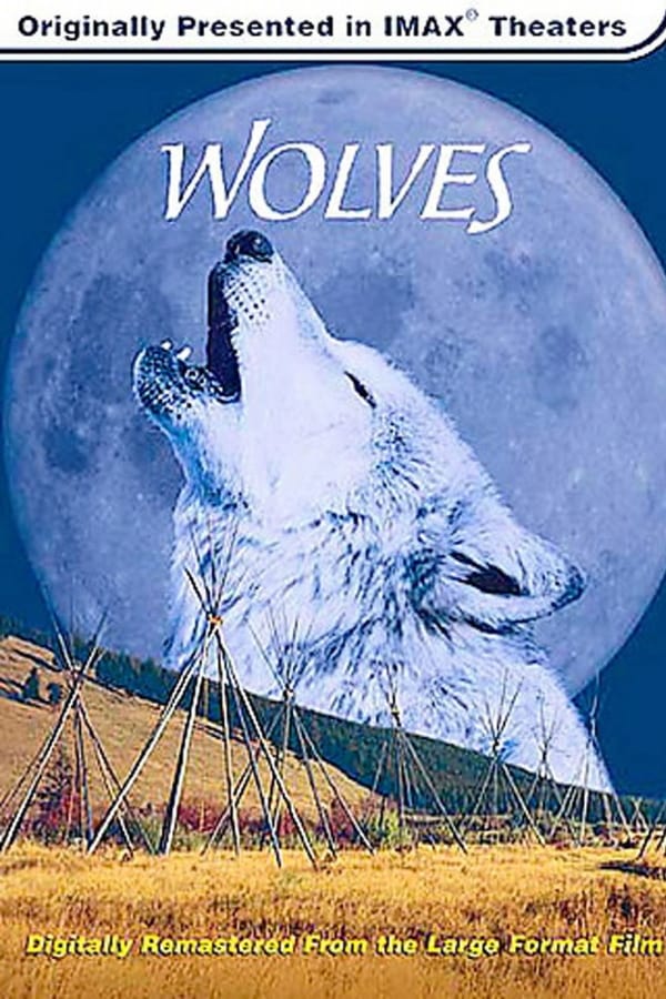 IMAX Nature – Le loup