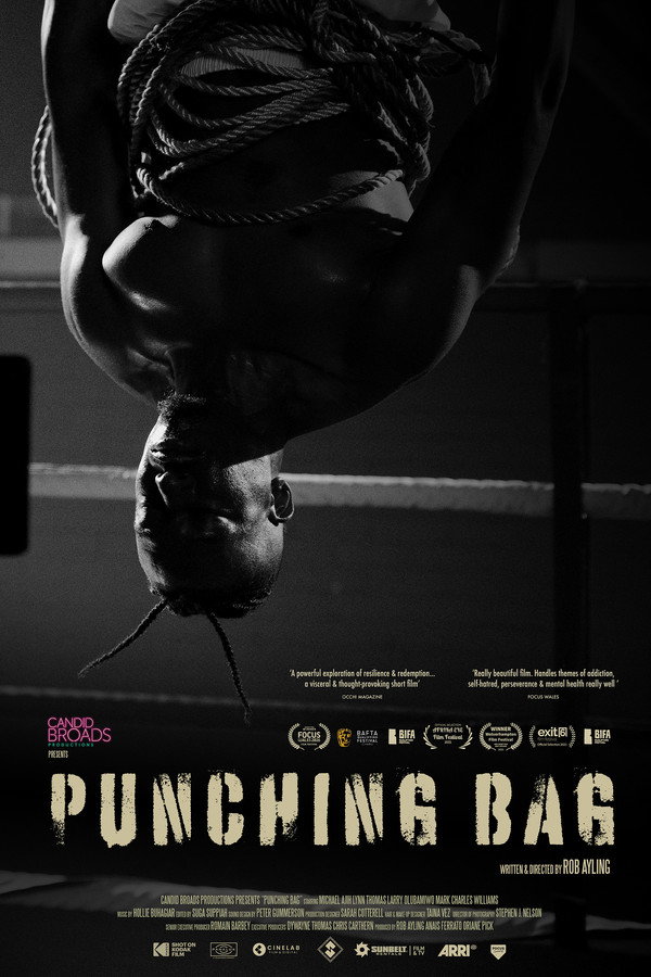 Punching Bag