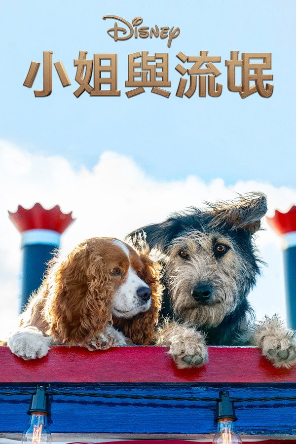小姐与流浪汉
