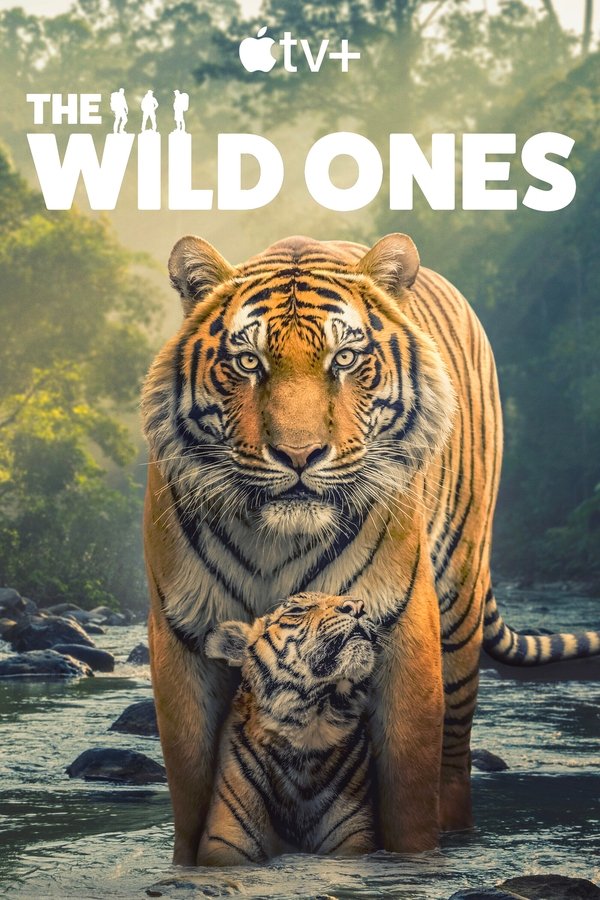 A+ - The Wild Ones (2025) (GB)