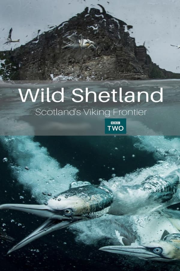 Wild Shetland: Scotland’s Viking Frontier