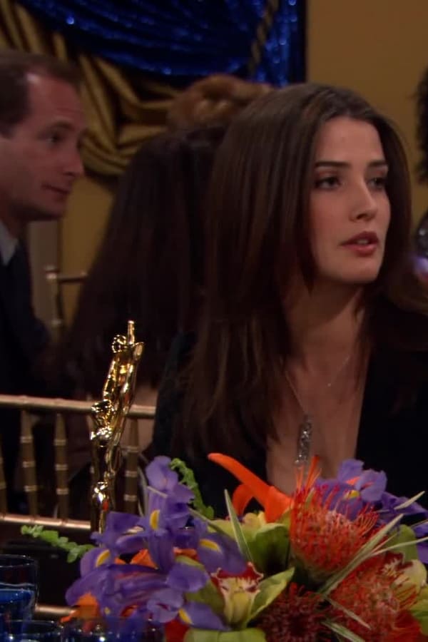 How I Met Your Mother – S01E19 – Prestazioni a pagamento