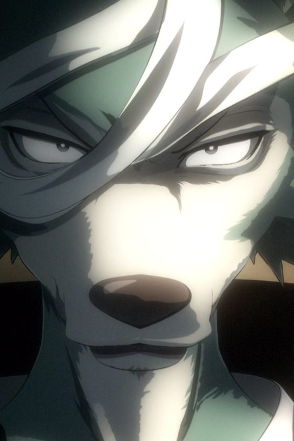 Beastars – S01E04 – Dai il massimo