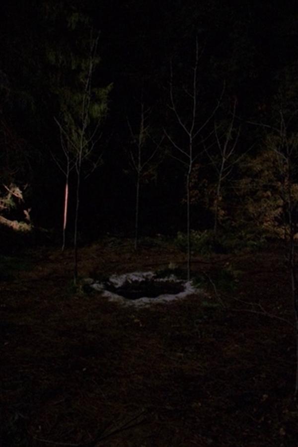 I segreti di Twin Peaks – S02E20 – Ill sentiero per la Loggia Nera