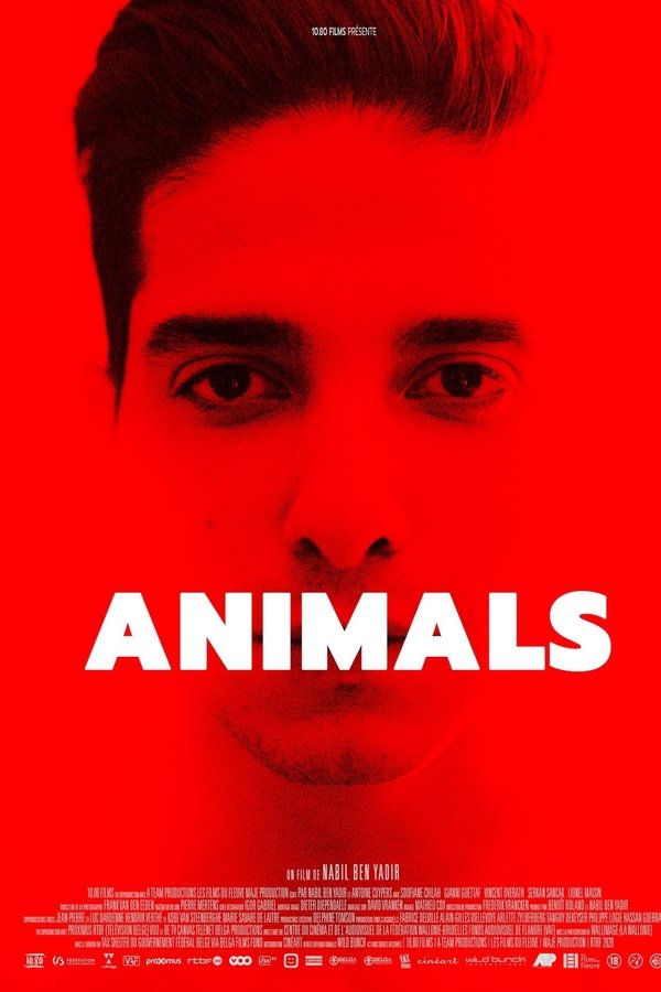 FR - Animals - 2022 cover image