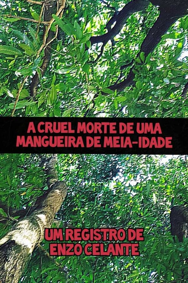 A Cruel Morte de uma Mangueira de Meia-Idade