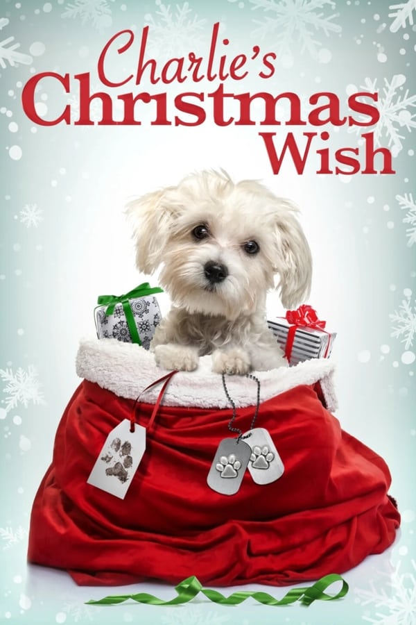 TVplus EN - Charlie's Christmas Wish  (2020)