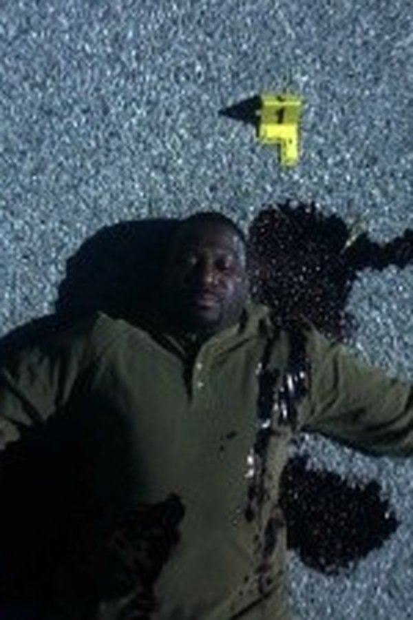 CSI: Scena del crimine – S09E17 – Senza via di scampo