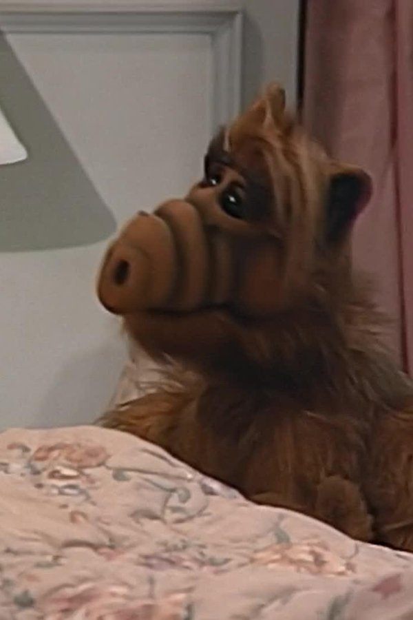 ALF – S02E06 – Festa in maschera