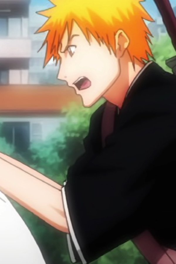 Bleach – S01E13 – Il fiore e l’Hollow